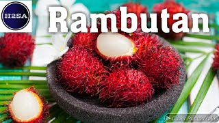 Rambutan - H2SA Code : F020-E