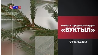 Изменения в Лесном кодексе РФ изменили работу лесничества