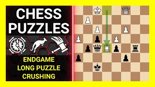 Chess Puzzles to Practice. Themes: Endgame, Long puzzle, Crushing. Learn Chess