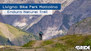 Livigno: Bike Park Mottolino - Enduro Natural Trail