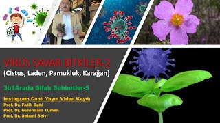 Virüs Savar Bitkiler: Cistus (Laden, Pamukluk) 3ü1Arada Şifalı Sohbetler #şifalıbitkiler, #covid19