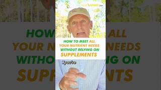 How To Meet All Your Nutrient Needs Without Relying On Supplements