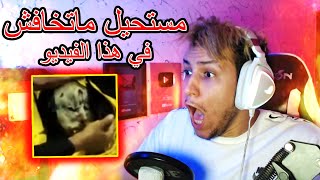 أتحدّاكم ترّقدو بعد هذا الفيديو 😈🔥 ( لالا و الله غير صح يخوفو بزاف ...😭 )