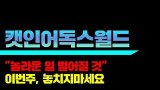 "놀라운 일 벌어질 것" 캣인어독스월드 이번주, 놓치지마세요 #캣인어독스월드 #캣인어독스월드코인 #캣인어독스월드전망