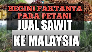 FAKTA PETANI JUAL SAWIT KE MALAYSIA DAN ANTRIAN BONGKAR SAWIT DI PABRIK #sawit #minyakgoreng #petani