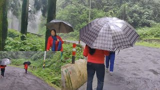 Walking in the Rain Darjeeling Jalpahar Road and Rain and Bird  Sounds@rumbabikashvlog