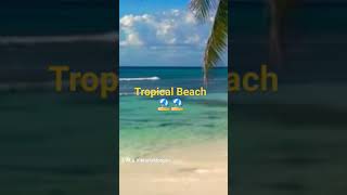 Tropical Island #tiktok #oceanwaves #sea #shorts