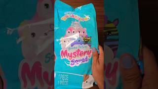 Unboxing Squishmallows Scented Mystery Squad #asmr