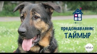 Меня зовут Таймыр