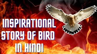 Best Inspirational story of Bird in Hindi | Learn form bird | motivational story