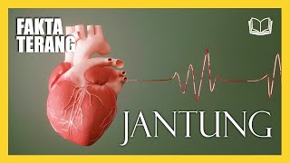 JANTUNG MANUSIA MERUPAKAN ORGAN OTOT YANG KUAT