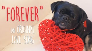 Best Dog Song Ever plus Rescue Dog Video "Forever"😍