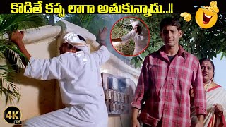 కొడితే కప్ప లాగా అతుకున్నాడు..! | Prakash Raj & Mahesh Babu Hillarious Comedy | @iDreamKumuramBheem