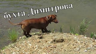 Остров Шикотан. Поездка в бухту ДИМИТРОВА\\#Жизнь на острове