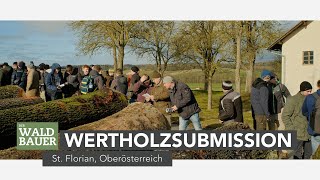 Wertholzsubmission in Oberösterreich