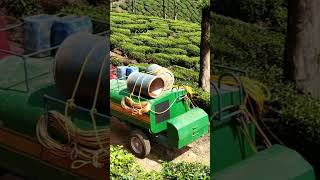 Tea Plantation🚜SUBSCRIBE👇🌿#shorts #tealeaf #teaestates #trending #nilgiris