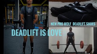 first Deadlift  session of 2024 with pro wolf Dlx500