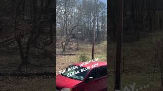 Crazy wind! Trees fell everywhere! All while we stood on the porch and watched in amazement 😳🤣😭💥