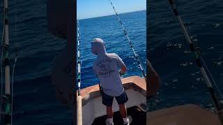 Bisbee Los Cabo Offshore marlin # #risingsons #nature #ocean #marlin #anywherealoha