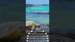 Enjoy our 33 minute visual #meditation with 528 hz to transform your life and create miracles🧘🏻‍♀️