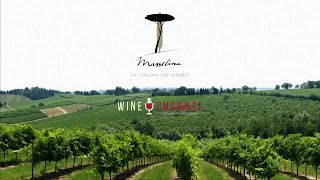 Tenuta Massellina: la cantina green nel cuore della Romagna.