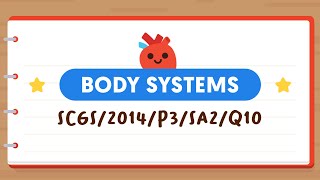 PSLE SCIENCE MADE SIMPLE EP147 | Body Systems | Which Food Digests The Fastest? 🍽