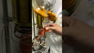 Short path molecular distillation | The last step to get finished essential lavender oils