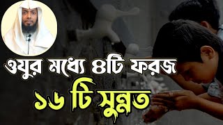 ওযুর ফরজ চার টি।