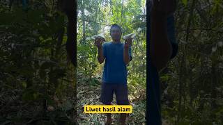 LIWET KERISPI | HASIL ALAM #part5 #shortvideo #shorts #short