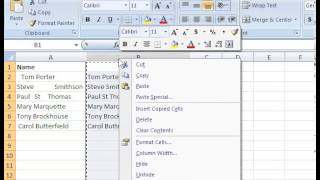 Excel 2010: Cell Trim Function