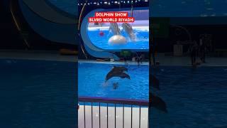 DOLPHIN SHOW | BOULEVARD WORLD RIYADH #riyadhseason