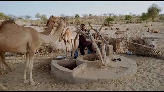 Fetching water from dug well in Desert