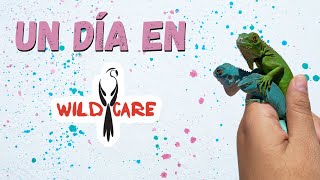 UN DÍA EN WILD CARE 🔥 | Reptiles | Perros | Roedores 🙃