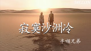 寂寞沙洲冷—半噸兄弟『河畔的风放肆拼命的吹，无端拨弄离人的眼泪』【動態歌詞Lyrics】