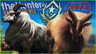 Is THIS The Fast Grind? 285 Tahr Into Great One Grind #3! Call of the wild