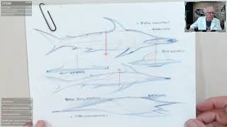 Star Ship Concept Study :  The MOKARRAN ... PHASE 2 con'td .