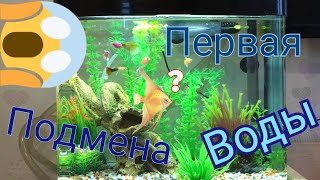 Меняю воду в аквариуме.  Первая подмена воды. #меняюводу #рыбки #чистота #аквариум