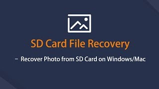 SD Card File Recovery – Recover SD Card Photo, Video, etc