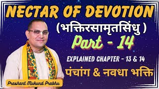 NOD ( Chapter - 13 & 14) | पंचांग और नवधा भक्ति | Prashant Mukund Prabhu | Bhakti Rasamrit Sindhu