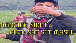 MANCING SIDAT AUTO SAT SET MASEE