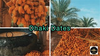 Dates Production in Dhakki, Pakistan || Traveler's Guide || FMKVLOGS