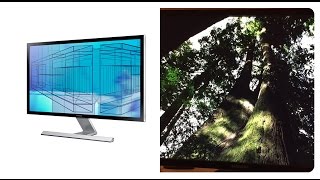 Samsung U28D590D 4K Display - UHD Monitor - Cinematic Demo - TeekayTech