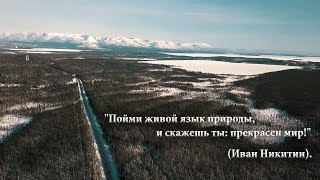 Чудесная зимняя рыбалка. В поисках корюшки. Съемки подводной камерой и дроном. Имандра. Губа Кислая