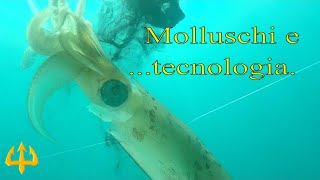 Pesca sub   :   ✴Molluschi e tecnologia.(Sud Sardegna)