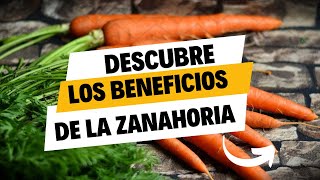 ¡Descubre los increíbles beneficios sobre la Zanahoria!