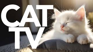 CAT TV - Bird Video and Nature Watching Video for Cats | All-In-One Cat Entertainment  🐈