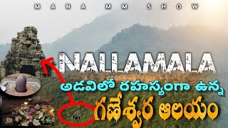 నల్లమల అటవీ లోతుల్లో దాగి ఉన్న గడేశ్వర ఆలయం | #nallamala |Mana MM Show