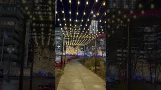 City Lights - Walking on Woodward