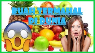 Buah Termahal di Dunia | Harganya Bisa Bikin Kamu Sakit Kepala 🤯😵