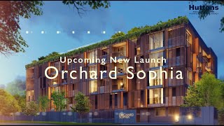 Orchard Sophia